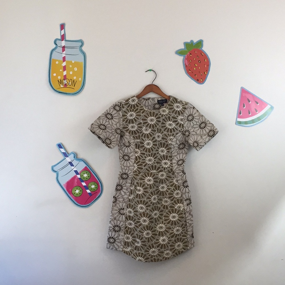 TopShop Daisy Embroidered Dress